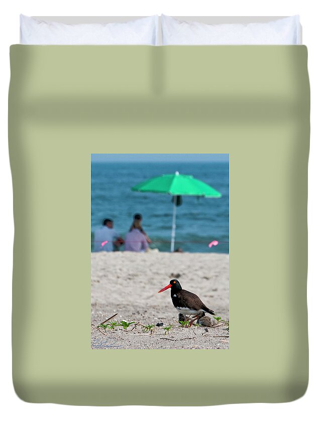 Oyster Catcher Duvet Cover featuring the photograph Parenting on a Beach by S Paul Sahm