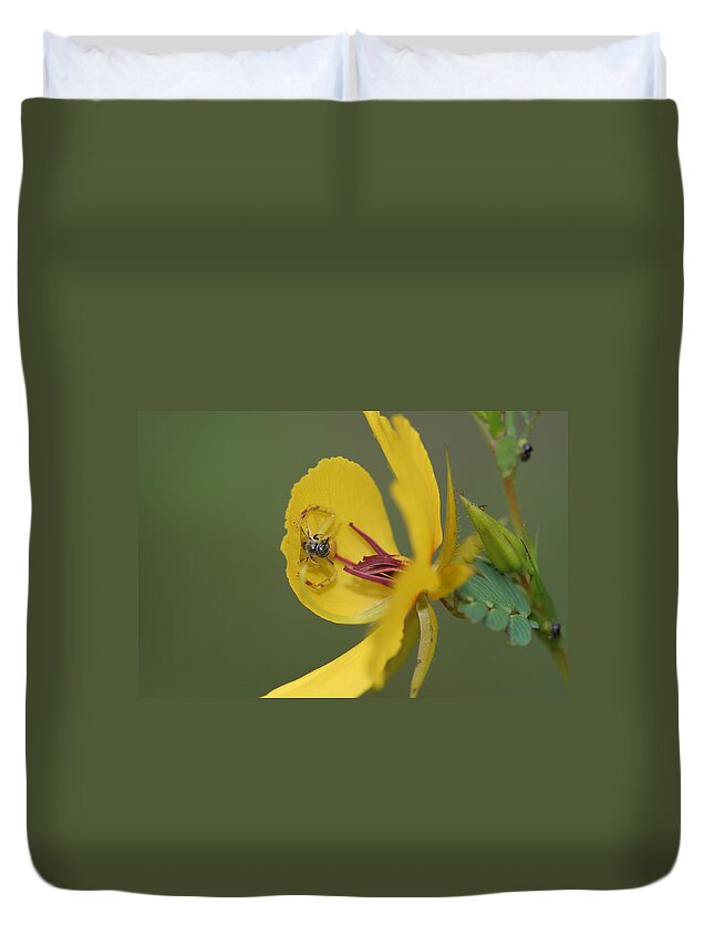 Partridge Pea Duvet Cover featuring the photograph Partridge Pea And Matching Crab Spider With Prey by Daniel Reed