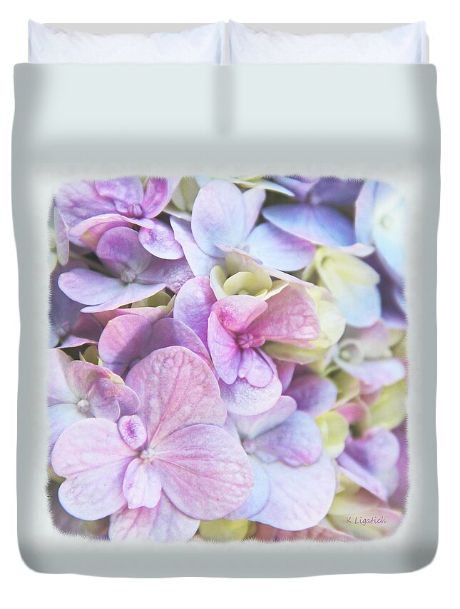 Hydrangea Duvet Cover featuring the photograph Pastel Hydrangeas - Square by Kerri Ligatich