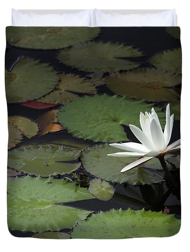 Water Lily Duvet Cover featuring the photograph Peaceful Water Lily by Sabrina L Ryan