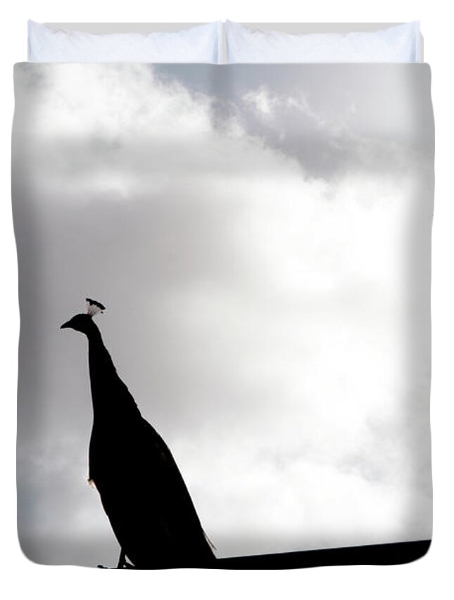 Peacock Duvet Cover featuring the photograph Peacock Sentry by Lorraine Devon Wilke