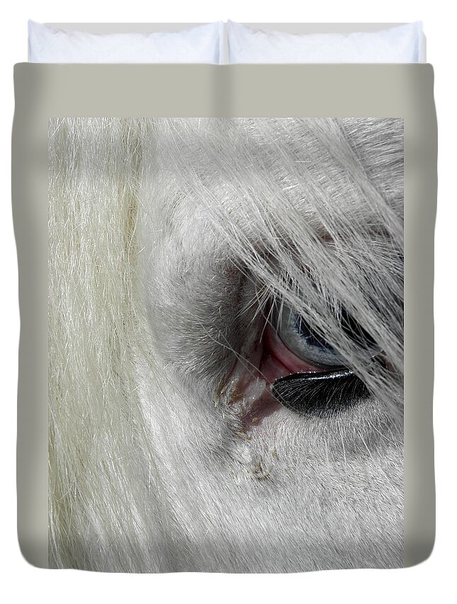Gypsy Vanner Horse Duvet Cover featuring the photograph Peaking Thru With Eyes So Blue by Kim Galluzzo