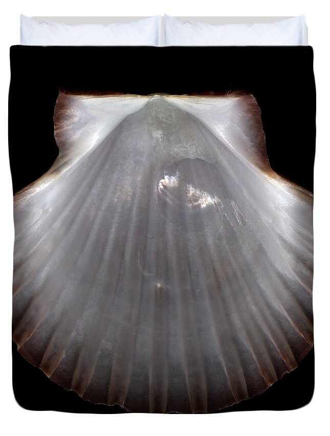 Pearlescent Duvet Cover featuring the photograph Pearlescent Shell by David Kleinsasser