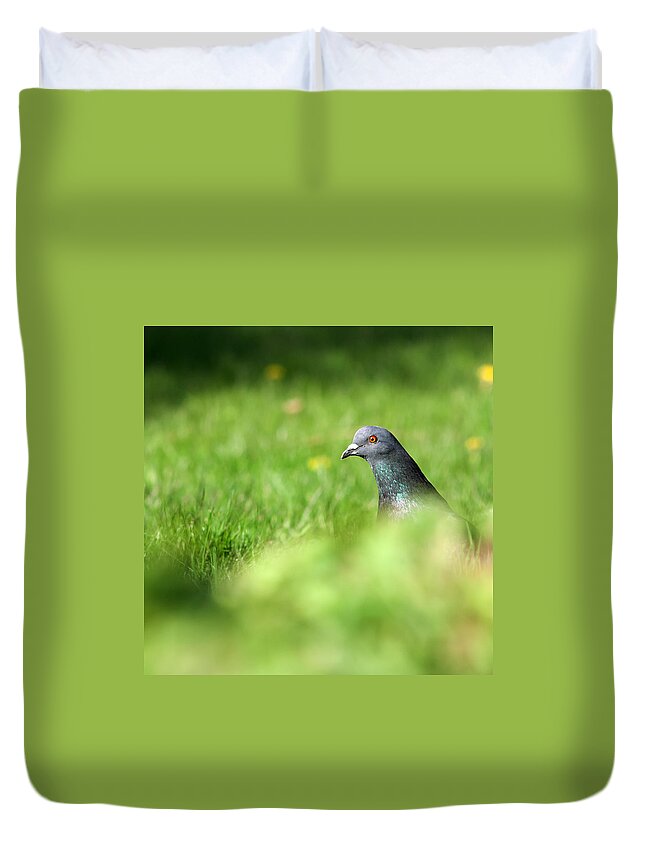 Pigeon Duvet Cover featuring the photograph Peek-A-Boo Pigeon by Jeff Galbraith