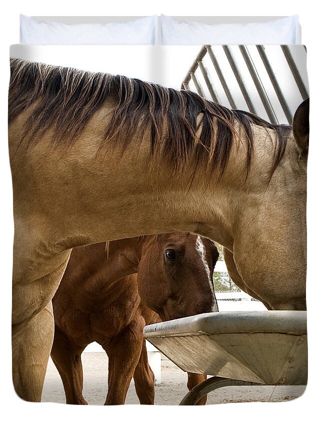 Pony Duvet Cover featuring the photograph Peeking Pony by Lorraine Devon Wilke