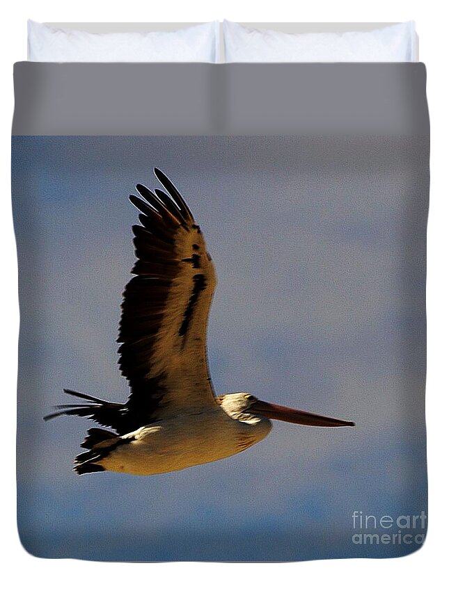 Australia Duvet Cover featuring the photograph Pelican in flight by Blair Stuart