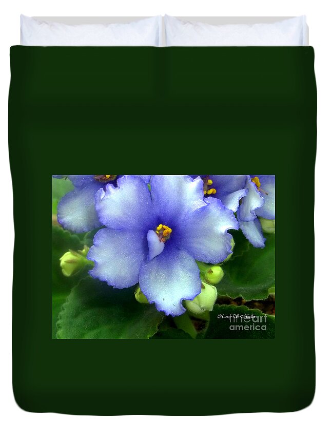 Periwinkle African Violet Duvet Cover For Sale By Nancy Mueller