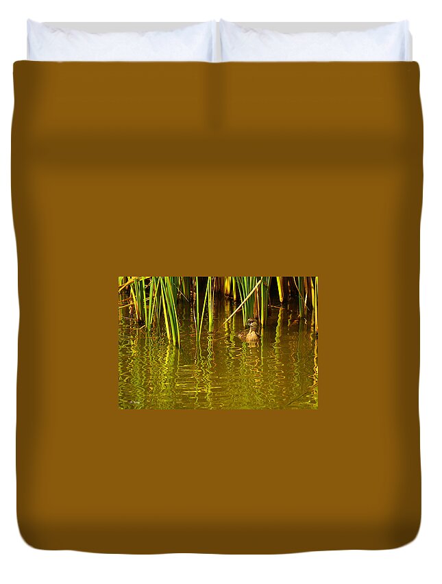 Roena King Duvet Cover featuring the photograph Pied-billed Grebe Near The Reeds by Roena King