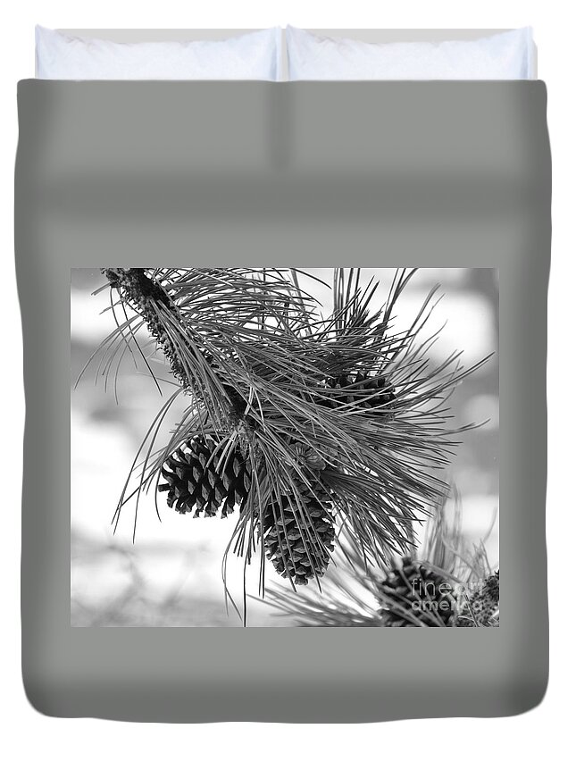Pine Cones Duvet Cover featuring the photograph Pine Cones by Dorrene BrownButterfield