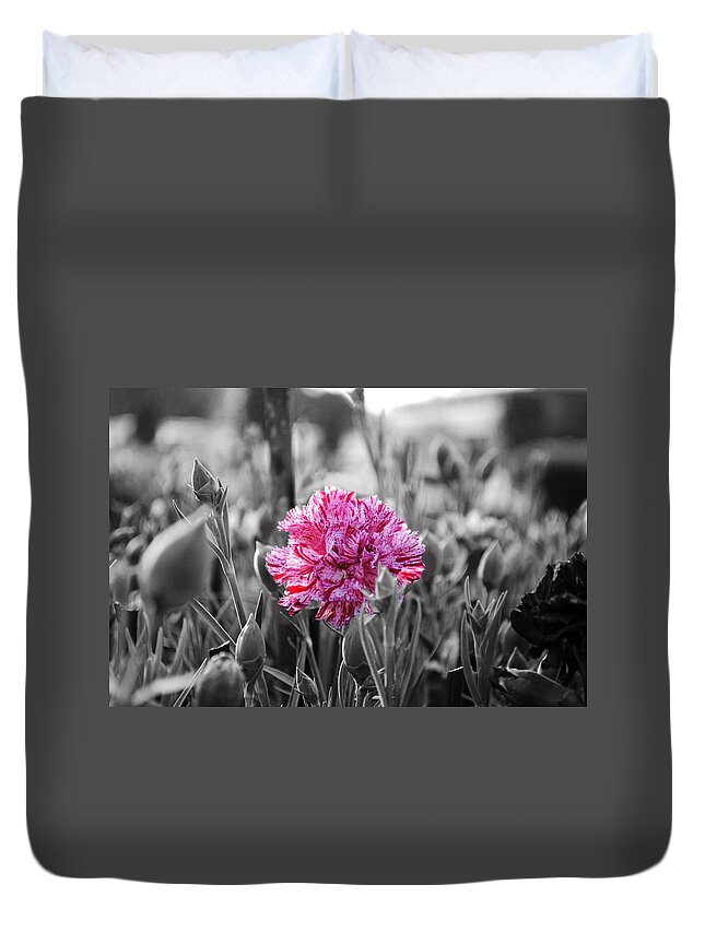 Pink Carnation Duvet Cover featuring the photograph Pink Carnation by Sumit Mehndiratta