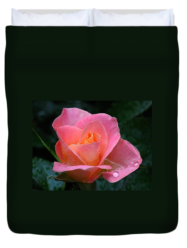  Duvet Cover featuring the photograph Pink Dew by Juergen Roth