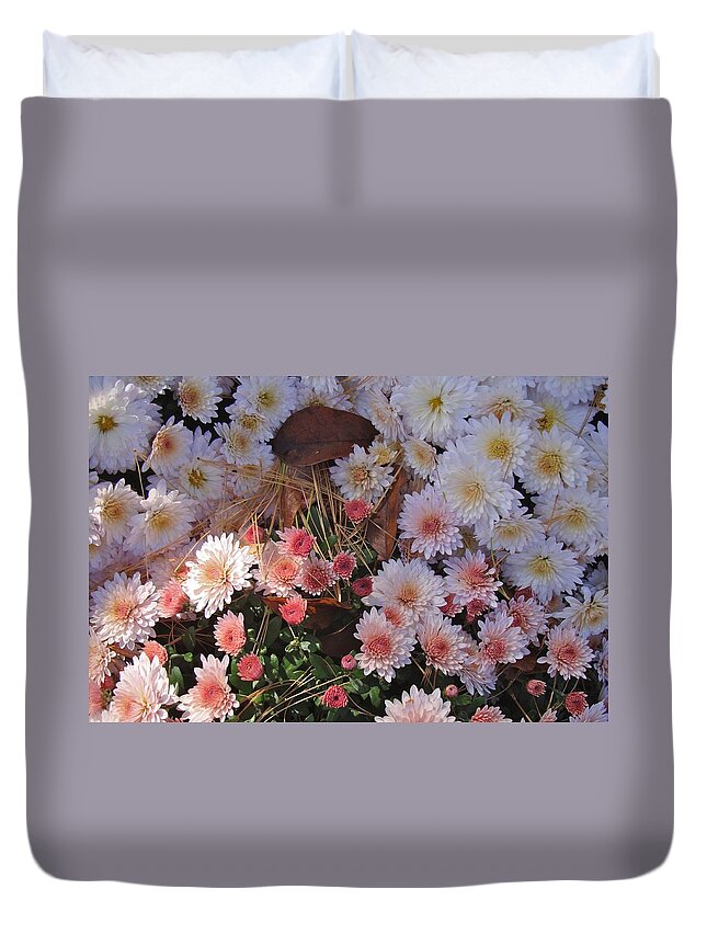 Flower Duvet Cover featuring the photograph Pink Mum by Joseph Yarbrough