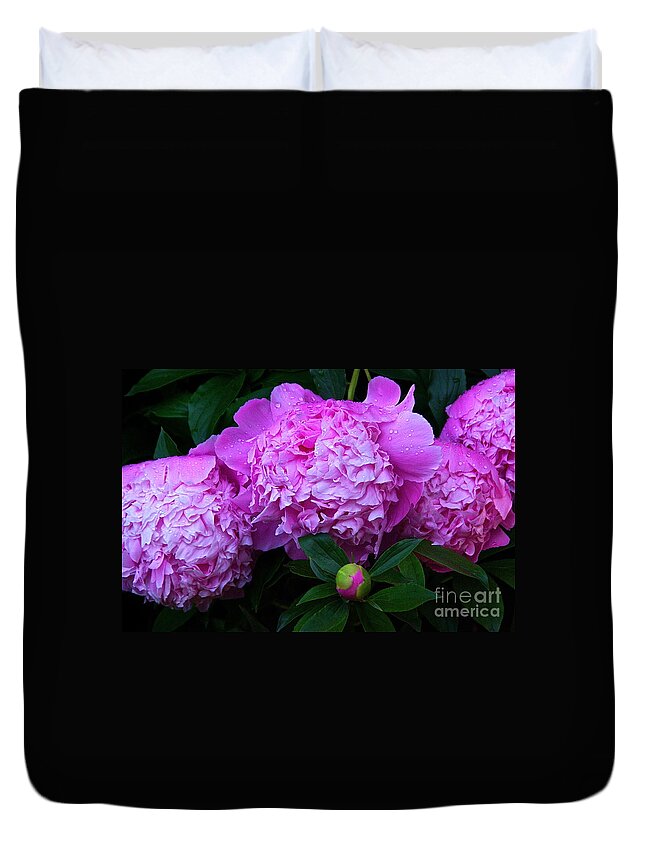 Pink Peonies Duvet Cover featuring the photograph Pink Peonies In The Rain by Byron Varvarigos