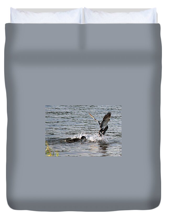 Ducks Duvet Cover featuring the photograph Playing Chase by Kathy White