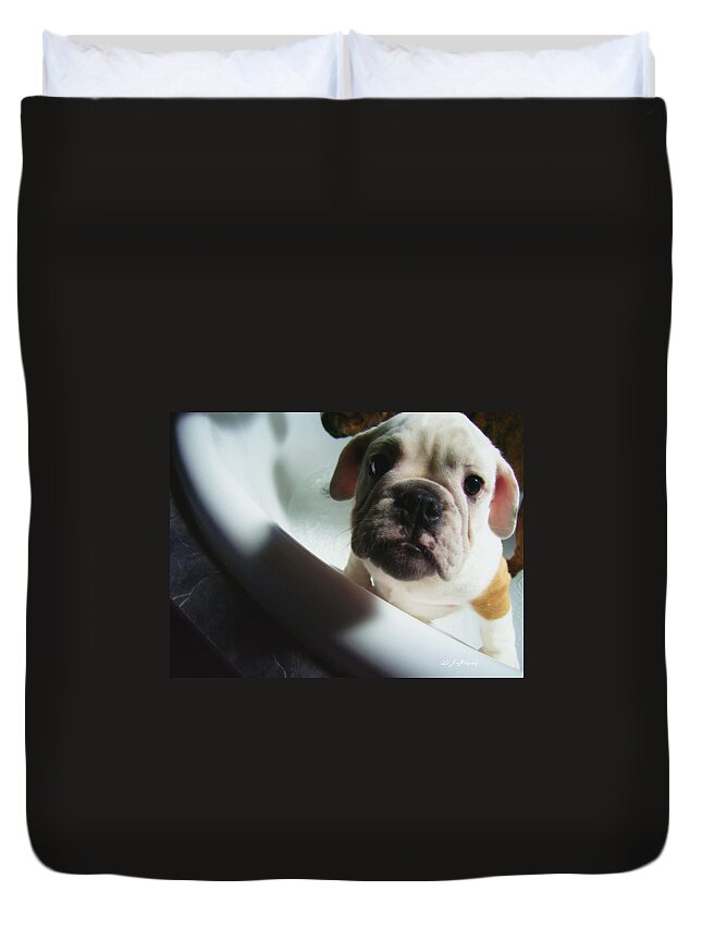 Bulldog Duvet Cover featuring the photograph Plea For Help by Jeanette C Landstrom