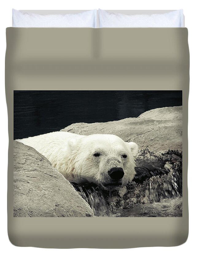 Animal Duvet Cover featuring the photograph Polar Relaxation by Charles Benavidez