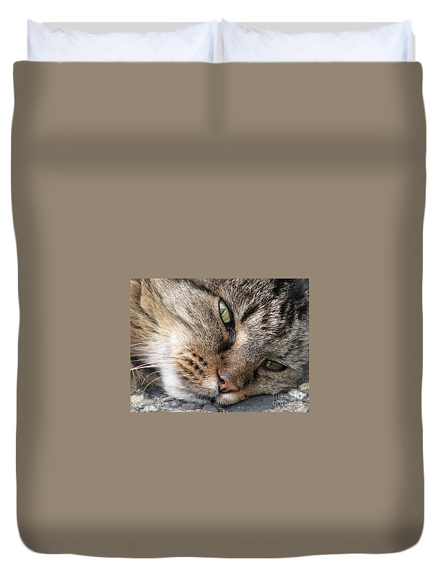 Cat Duvet Cover featuring the photograph Pondering by Rory Siegel