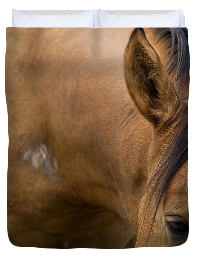 Pony Duvet Cover featuring the photograph Curious Pony by Lorraine Devon Wilke
