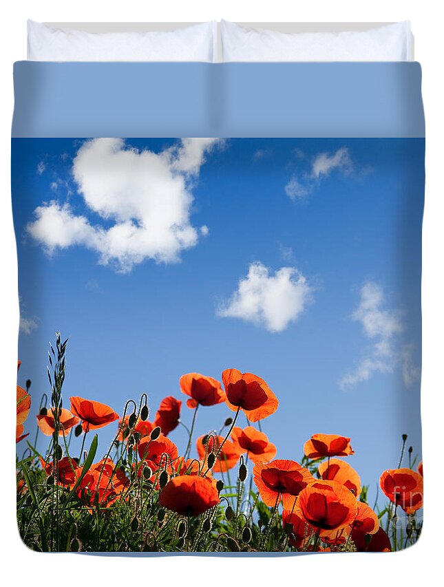 Poppy Duvet Cover featuring the photograph Poppy Flowers 05 by Nailia Schwarz