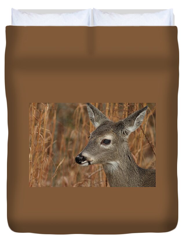 Odocoileus Virginanus Duvet Cover featuring the photograph Portrait Of Browsing Deer by Daniel Reed