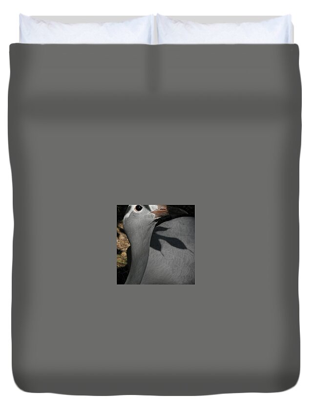 Bird Duvet Cover featuring the photograph psst I see you by Kim Galluzzo