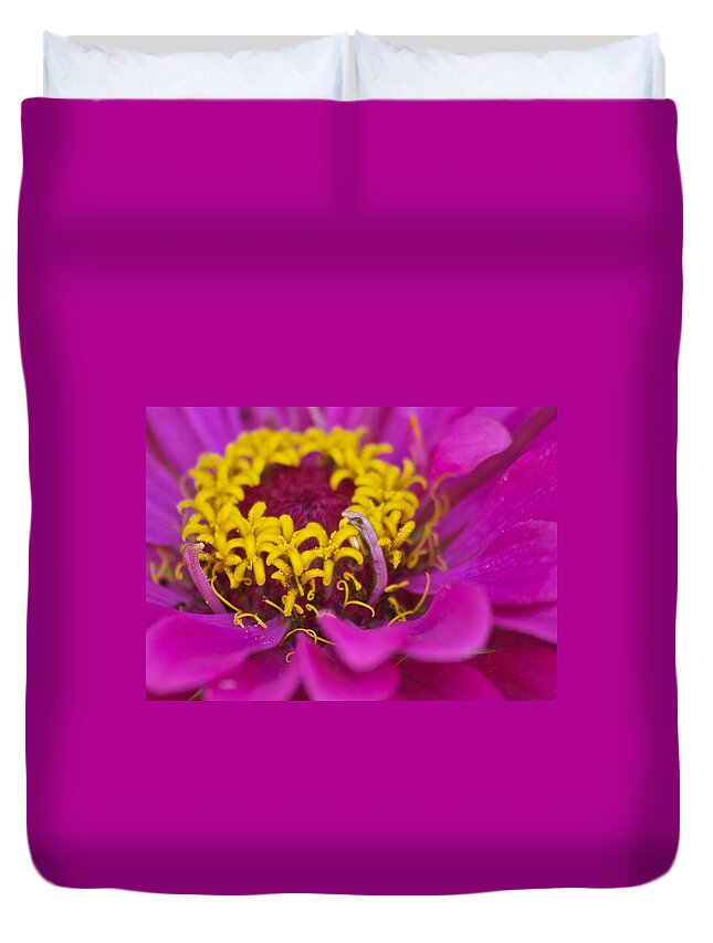 Annual Duvet Cover featuring the photograph Purple and Yellow Zinnia_9483_4275 by Michael Peychich