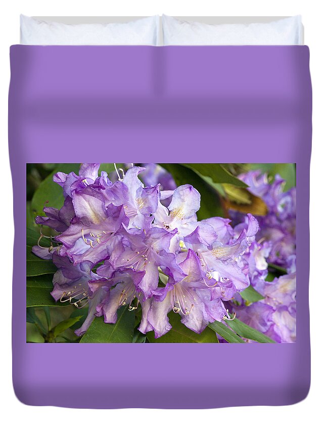Azalea Duvet Cover featuring the photograph Purple Azalea by Daniel Csoka