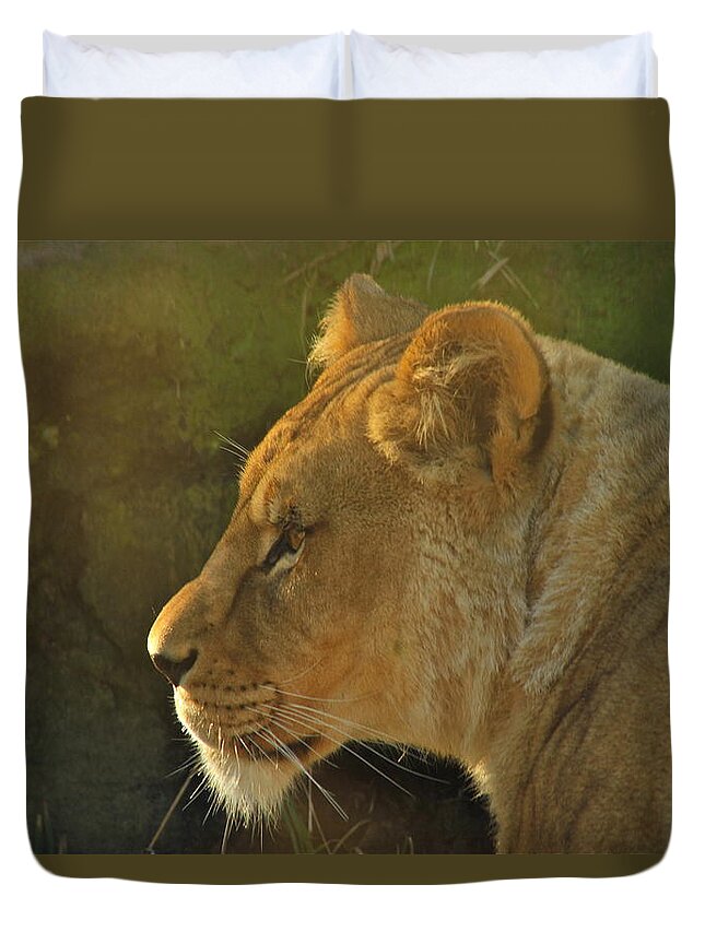 Lion Duvet Cover featuring the photograph Pursuit of Pride by Laddie Halupa