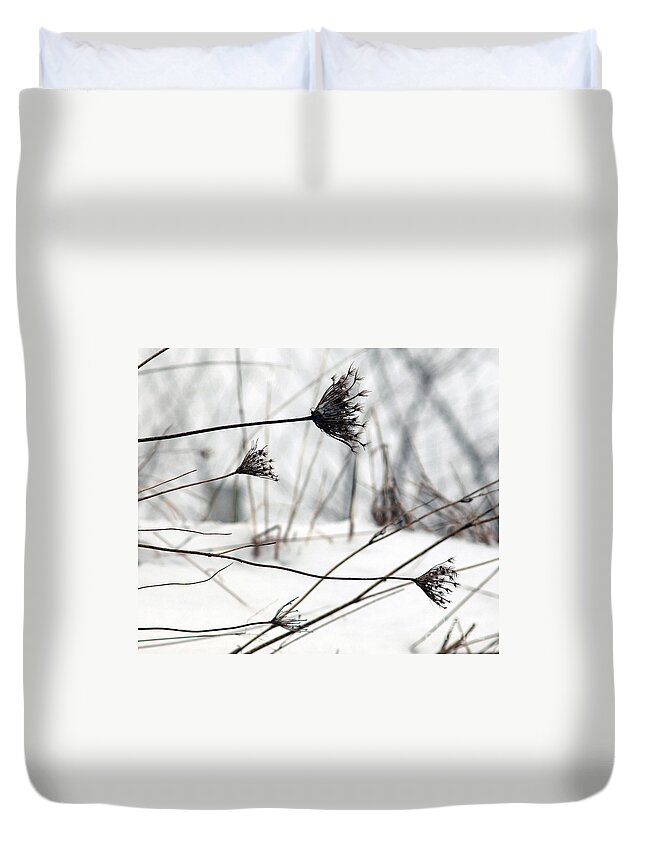 Flower Duvet Cover featuring the photograph Queen Ann's Lace by Terry Doyle