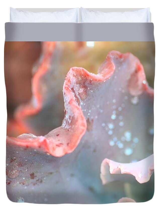 Succulent Duvet Cover featuring the photograph Rain Drops Of Colors by Amy Gallagher