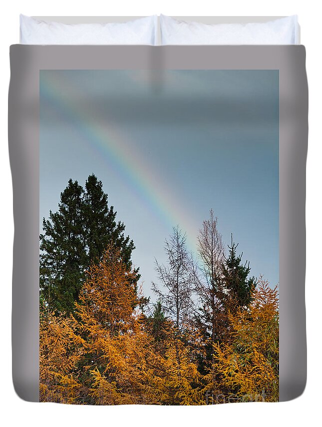 Rainbow Duvet Cover featuring the photograph Rainbow Forest by Cheryl Baxter