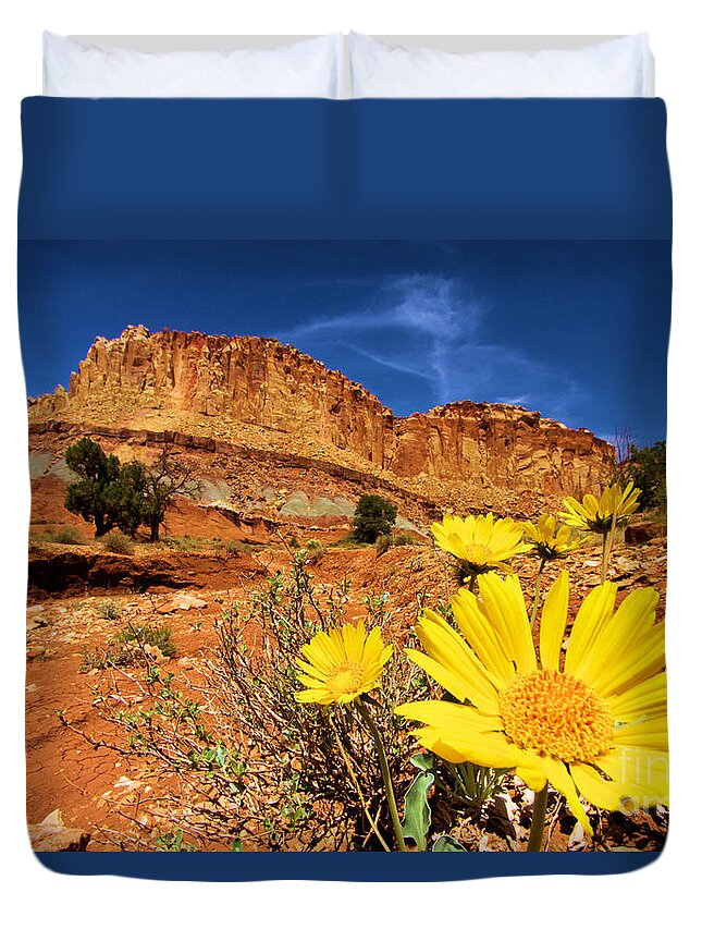 Yellow Flowers Duvet Cover featuring the photograph Rainbow Garden by Adam Jewell
