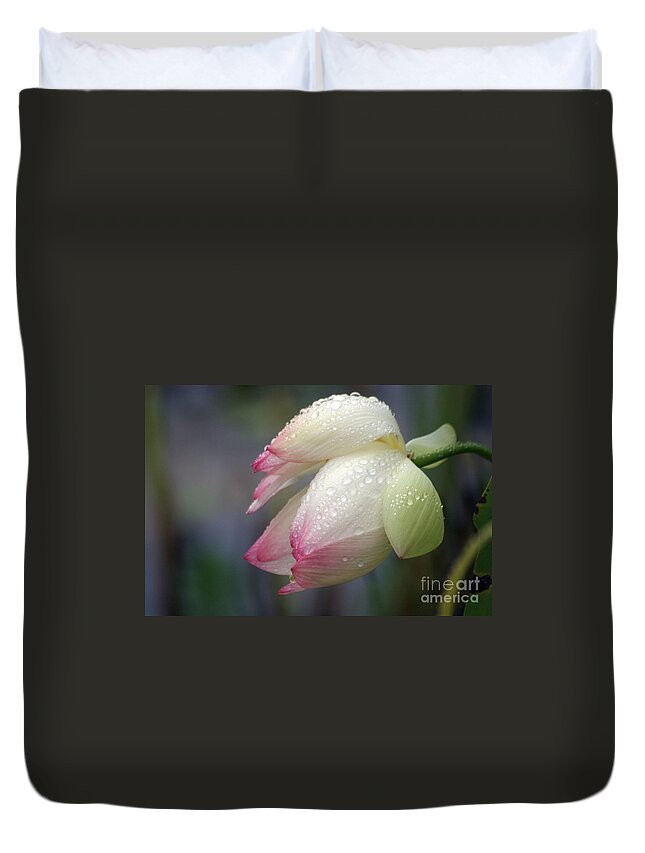 Lotus Duvet Cover featuring the photograph Rained Upon by Living Color Photography Lorraine Lynch