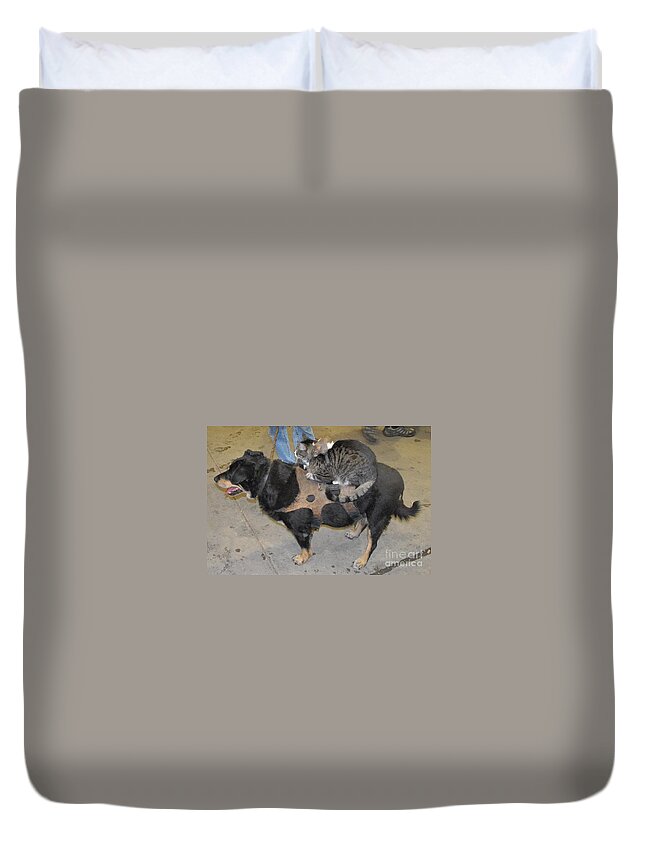 Dog Photography Duvet Cover featuring the photograph Rat Cat Dog by Anthony Wilkening