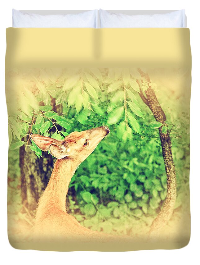 Bambi Duvet Cover featuring the photograph Reaching by Karol Livote