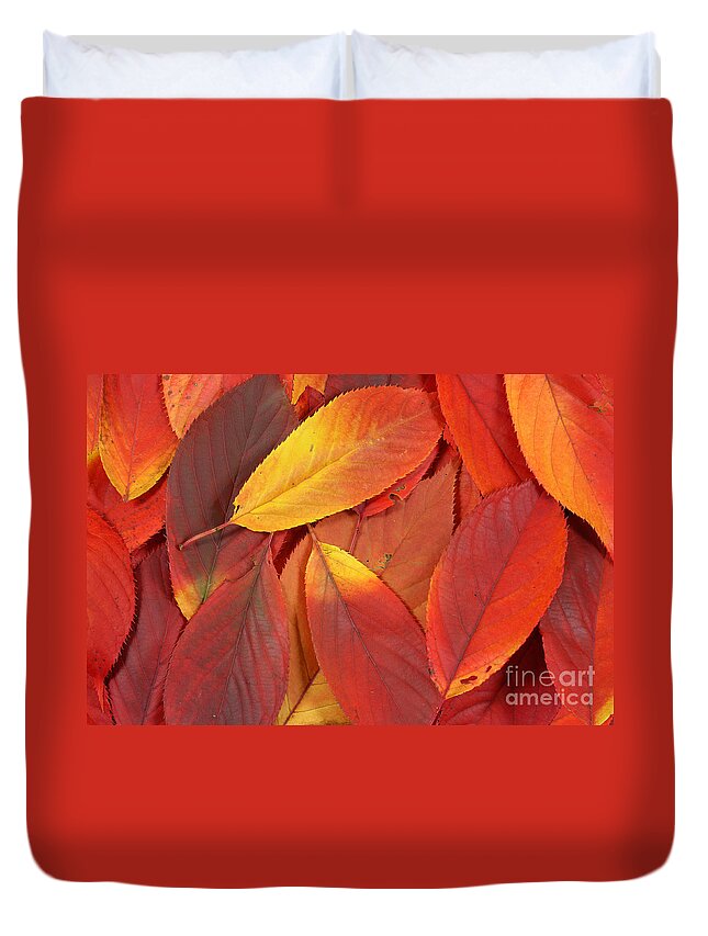 Leaves Duvet Cover featuring the photograph Red autumn leaves pile by Simon Bratt
