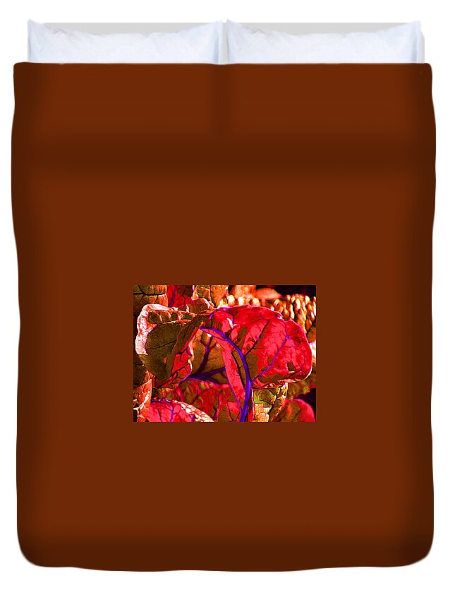 Chard Duvet Cover featuring the photograph Red Chard by Rory Siegel