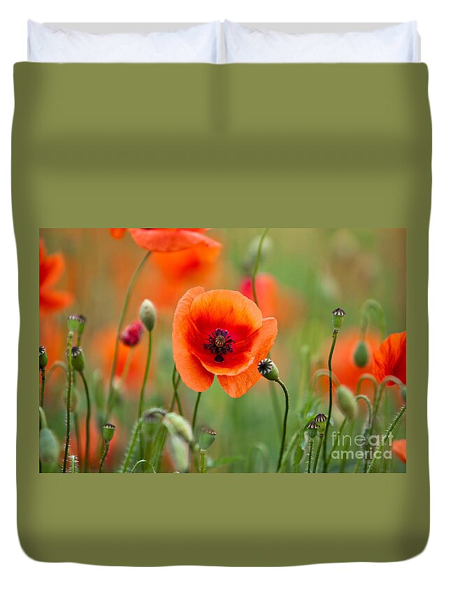 Poppy Duvet Cover featuring the photograph Red Corn Poppy Flowers 07 by Nailia Schwarz