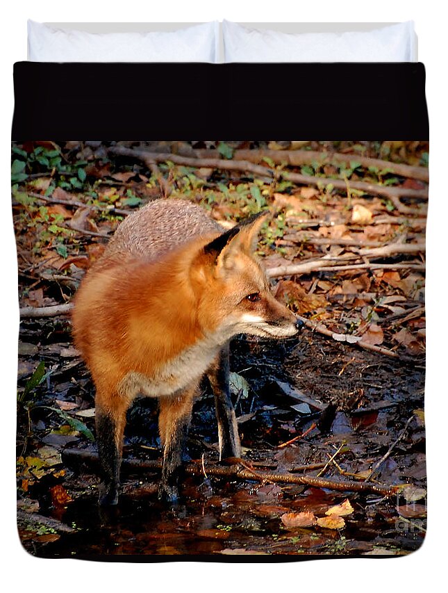 Fox Duvet Cover featuring the photograph Red Fox At The Rivers Edge by Kathy Baccari