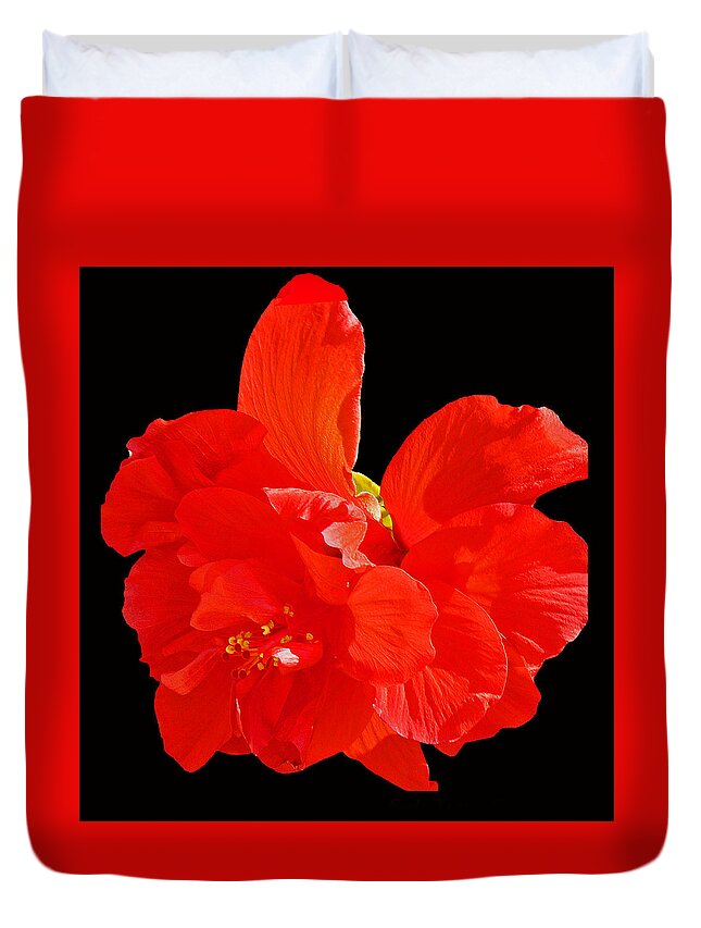 Flower Duvet Cover featuring the photograph Red Hibiscus by Cindy Manero