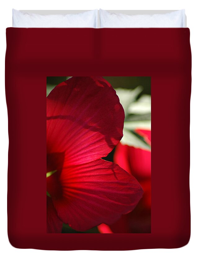 Hibiscus Duvet Cover featuring the photograph Red Hibiscus by David Weeks