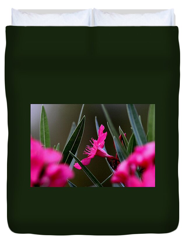 Red Flower Duvet Cover featuring the photograph Red Flower by Travis Truelove