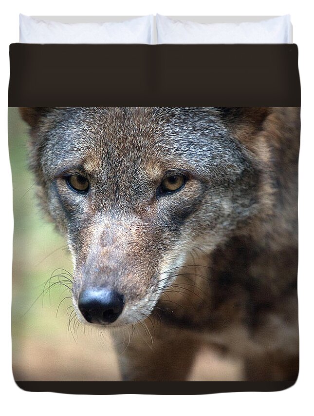 Wolf Duvet Cover featuring the photograph Red Wolf Closeup by Karol Livote