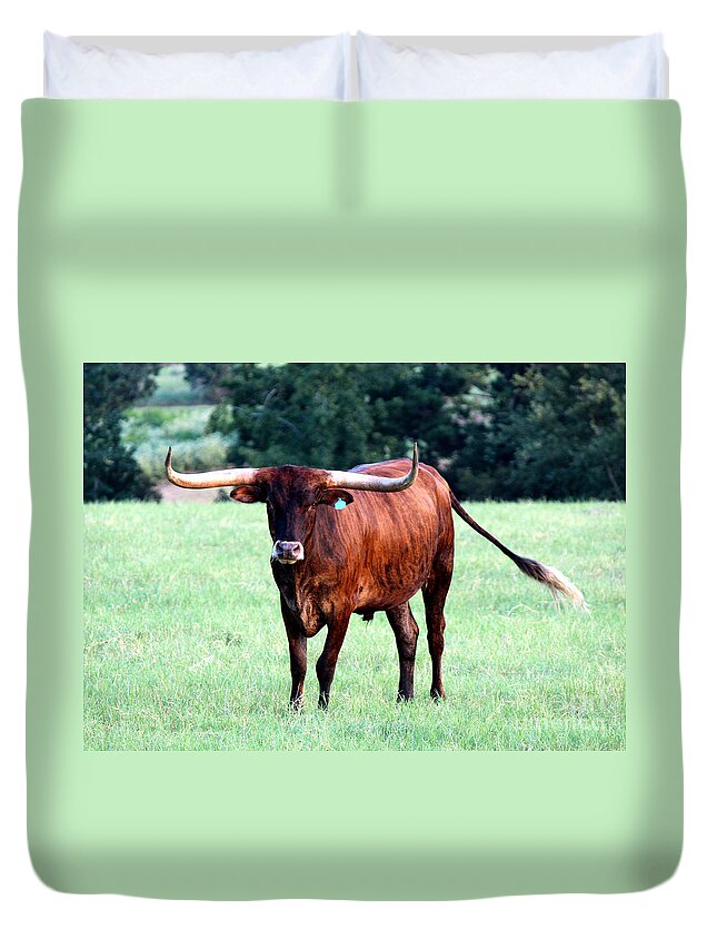 Texas Longhorn Duvet Cover featuring the photograph Reddish Brown Longhorn by Kathy White