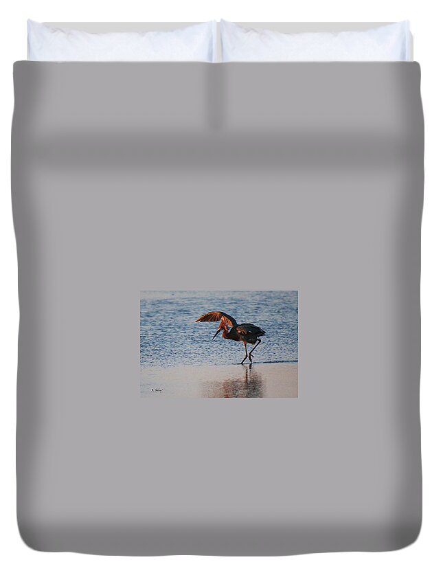 Roena King Duvet Cover featuring the photograph Reddish Egret Doing a Forging Dance by Roena King