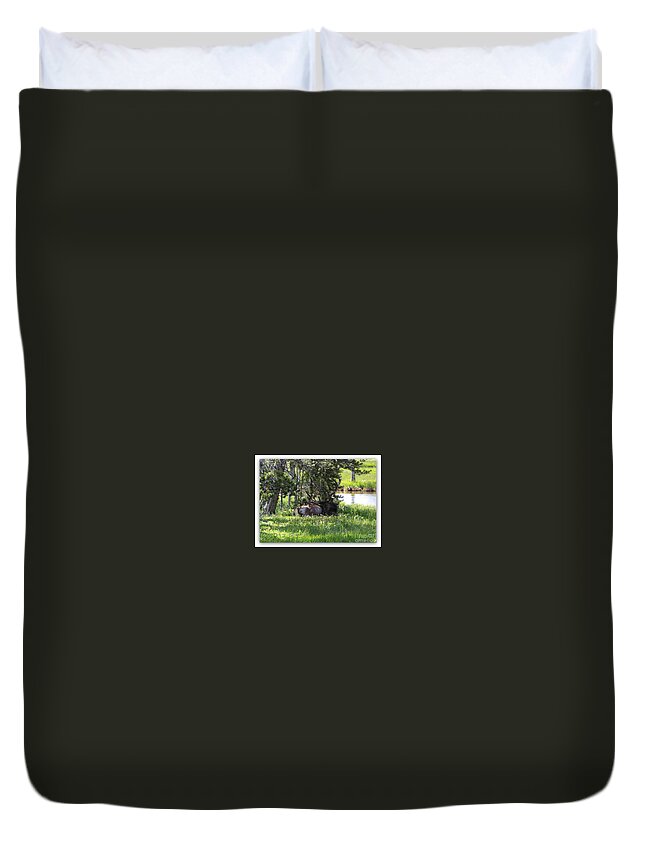 Elk Duvet Cover featuring the photograph Resting in the Clover by Carol Groenen