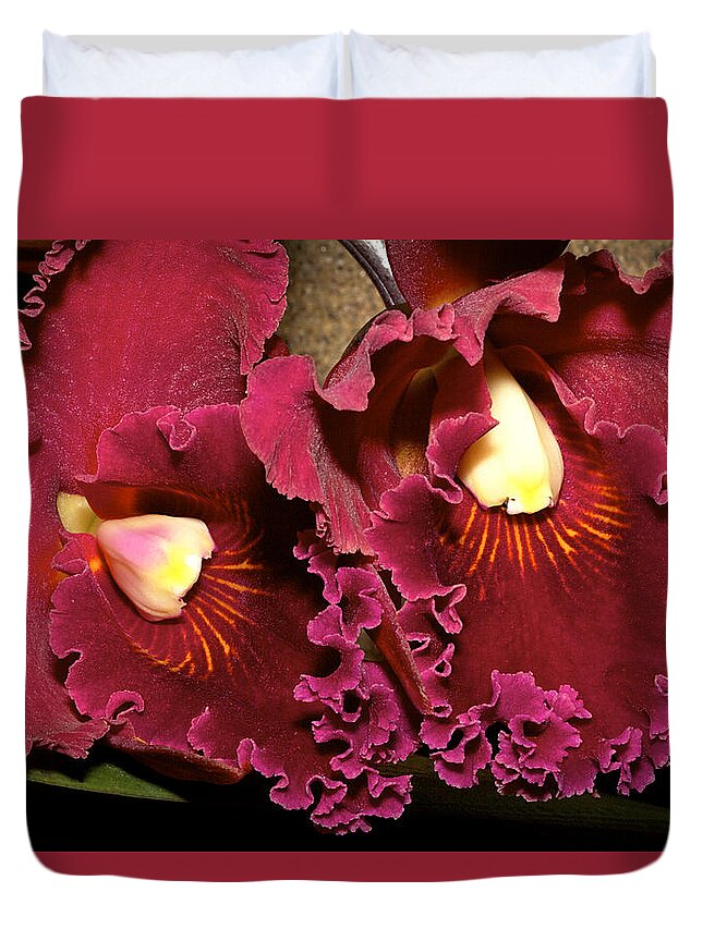 Orchids Duvet Cover featuring the photograph Rich Burgundy Orchids by Phyllis Denton