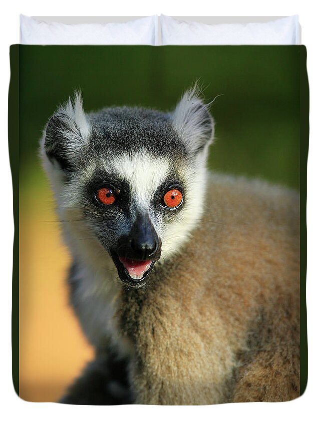 Mp Duvet Cover featuring the photograph Ring-tailed Lemur Lemur Catta Portrait by Cyril Ruoso