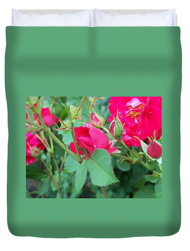 Rose Duvet Cover featuring the photograph Rose Bud with Water Droplet by Corinne Elizabeth Cowherd
