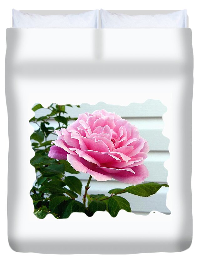 Royal Kate Rose Duvet Cover featuring the photograph Royal Kate Rose by Will Borden